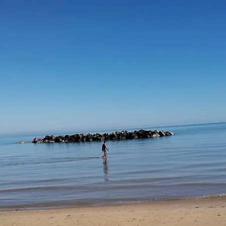 Lucky Primrose Pescara