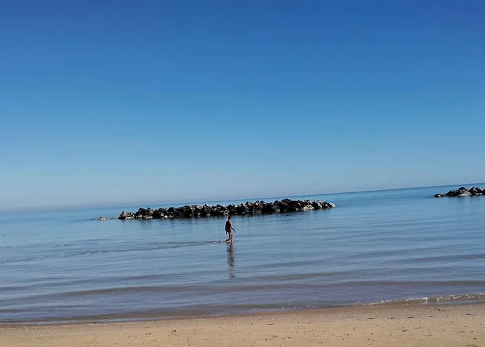 Lucky Primrose Pescara